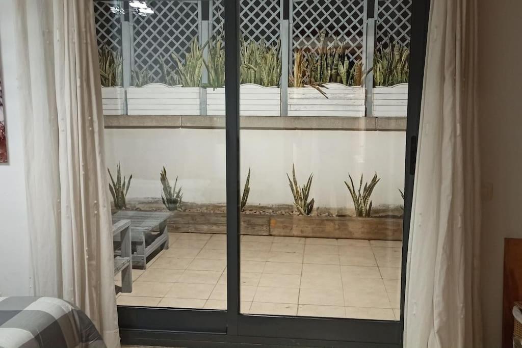 Atico En Paiporta Con 2 Grandes Terrazas Apartment Валенсия Екстериор снимка